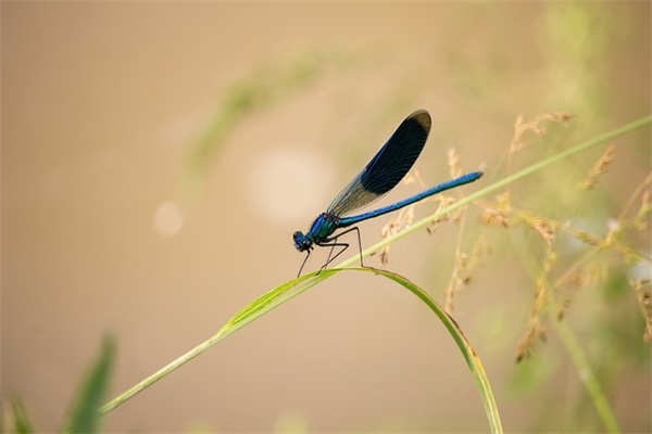 人销售口号大全字23句 人销售口号大全字23句