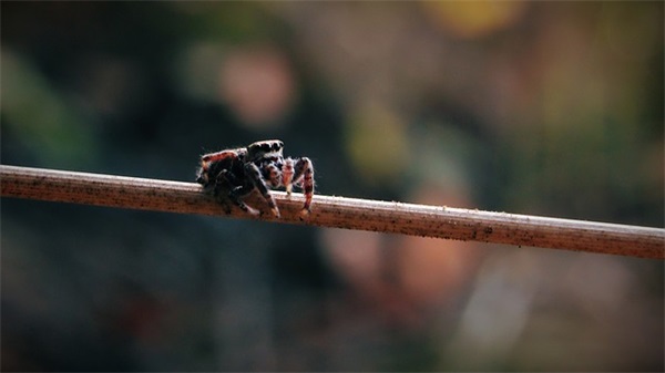 工期紧安全标语18句 工期紧安全标语18句