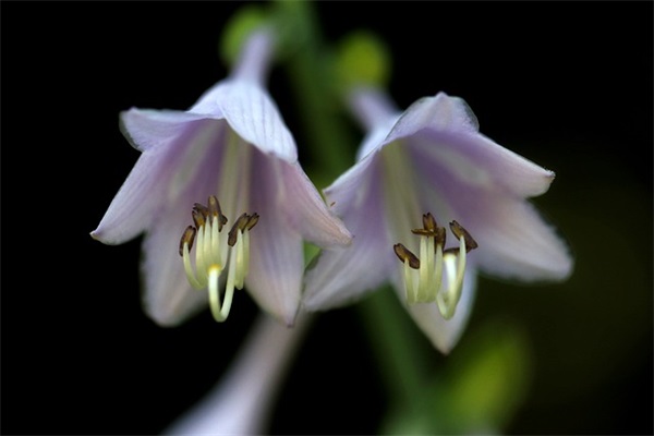 电商进农村宣传口号16句 电商进农村宣传口号16句