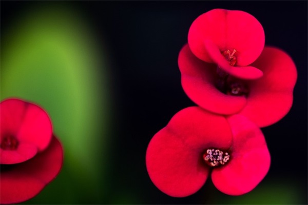 老兵退伍标语25句 老兵退伍标语25句