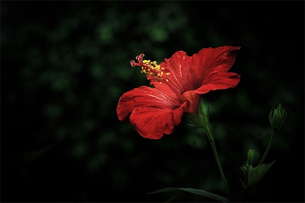 无线上网产品公司品牌口号 无线上网产品公司品牌口号