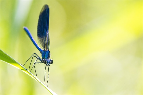 唱歌比赛拉拉队口号33句