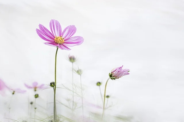 学雷锋做好事宣传横幅标语口号精选