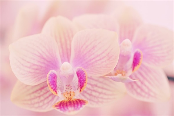 最新的保护环境的标语大全 保护环境标语大全