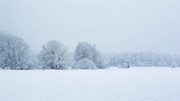 2026高三百日冲刺誓词口号 高三百日冲刺誓词