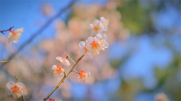 精选的市场营销口号大全 市场营销口号八字