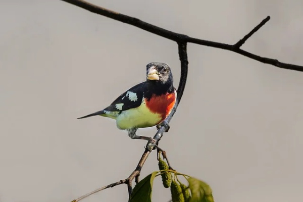 农经网宣传口号 怎样写宣传口号