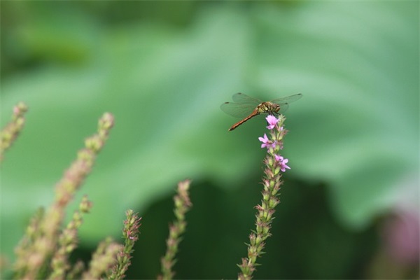 天气转凉简短关心人的句子