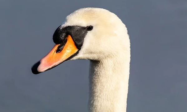 送闺蜜的话暖心简短句子