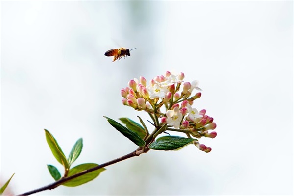 小学生爱劳动的句子 小学生爱劳动的好处