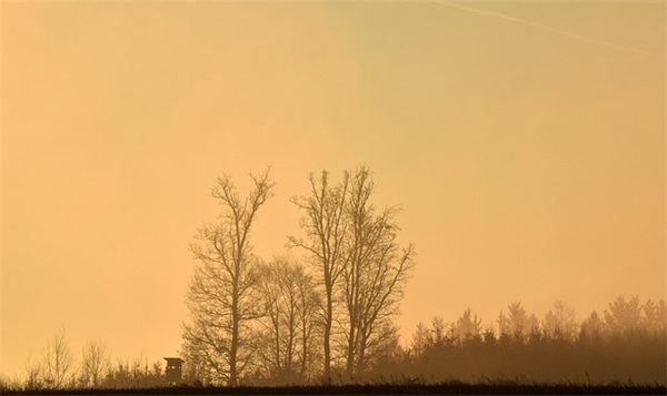 好习惯的励志句子30句