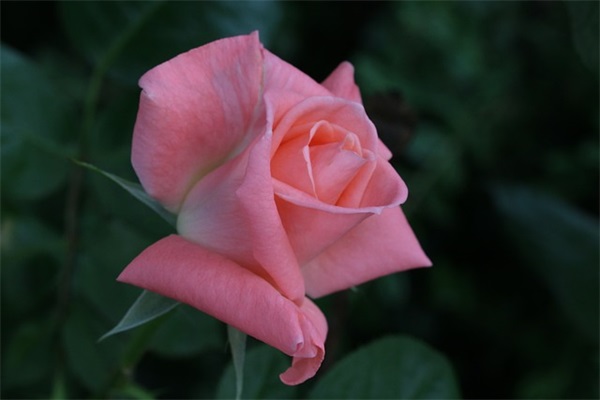 一句话简单的晒娃句子 宝宝照片配可爱文字收录