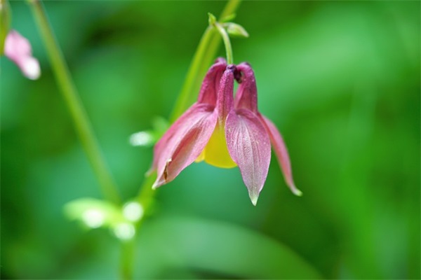 八字简短爱情句子 七八字的优美爱情句子