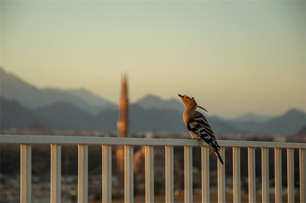 夏天过去了 秋天来了 补充句子