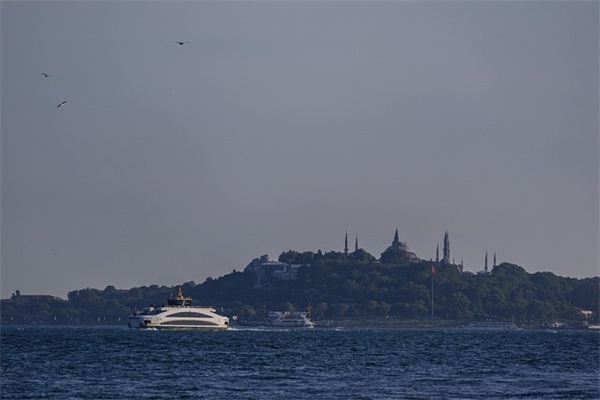 描写霓虹灯的短句子