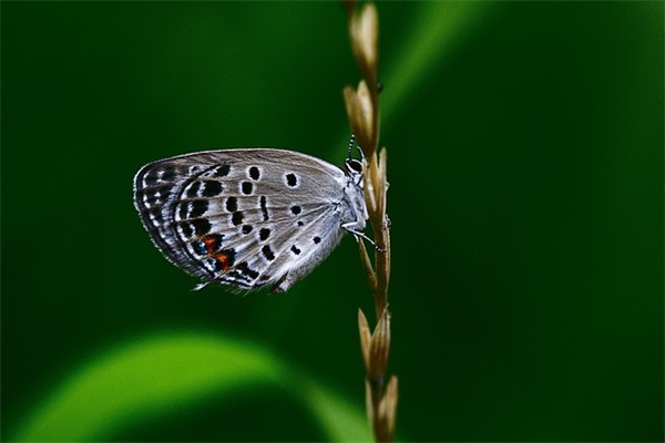 二月二祝福语81句