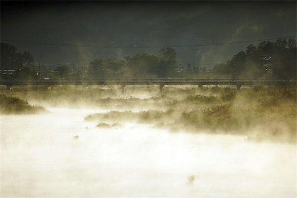 2026年简洁的奋斗的励志语录