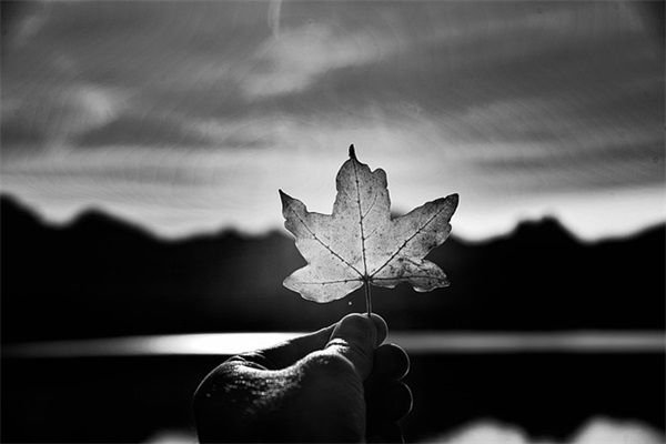 情人的暖心爱情语录 对情人的暖心情话