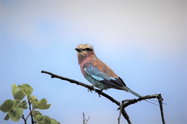 非常唯美的爱情经典语录