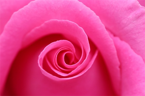 曾小贤经典语录大全 曾小贤说过的经典语录