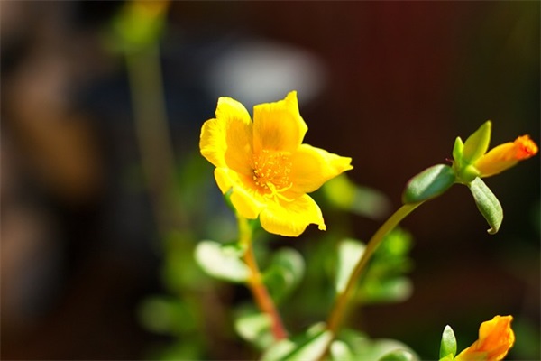 高三励志语录唯美字47句