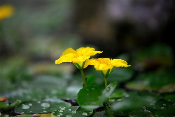 搞笑语录2026年最新59句