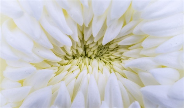 2026年qq爱情语录大全