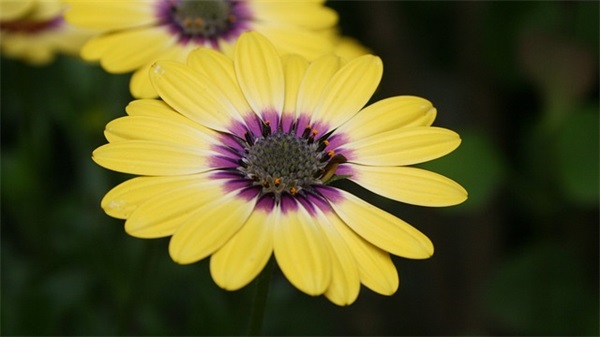 2026年底总结励志语录大全 励志语录