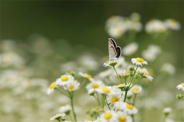 十周年公司口号-53句