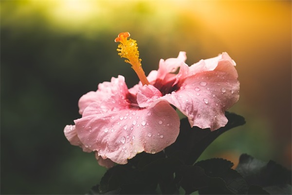 王者队名口号押韵-57句