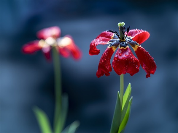 中二班创意口号-64句