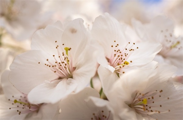 初中组名和口号-58句 初中组名和口号-58句