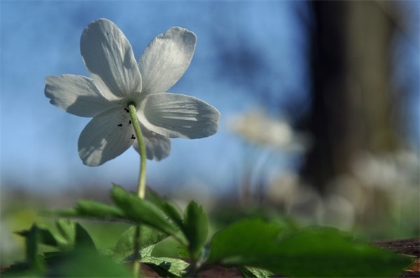 励志的句子口号-59句