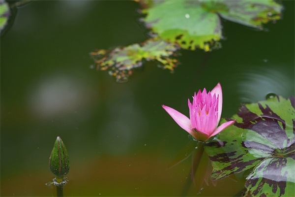 16字霸气口号-81句