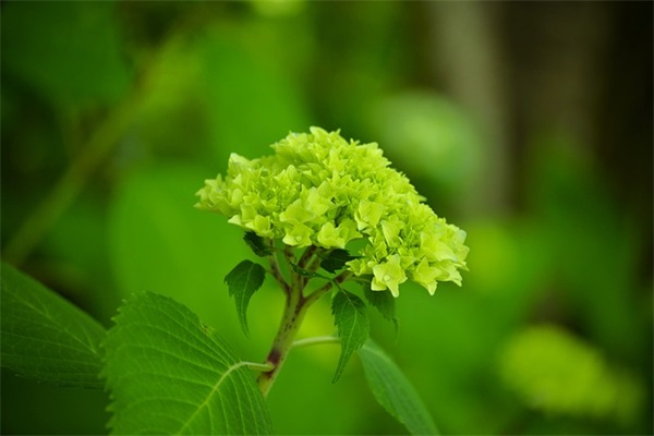 中考励志口号大全-81句