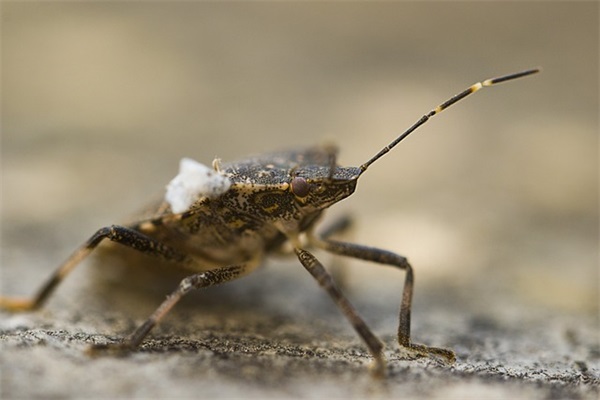 公司口号大全霸气 【100句精选】