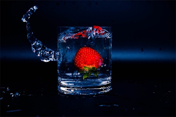 樱花虾是什么？如何饲养和繁殖？