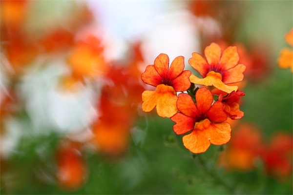 想自己开个店 大家有什么好的建议？