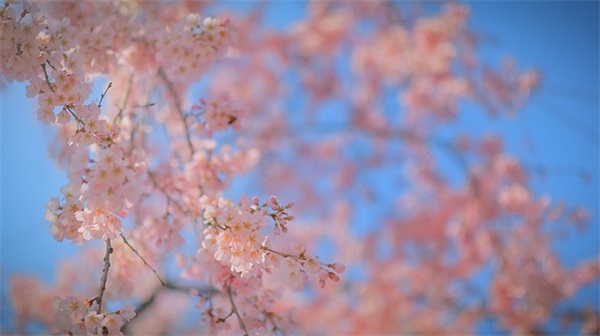 纳智捷大7SUV的适时四驱系统有什么用？