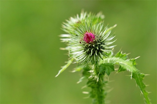 阳光真的这么烂吗，现在看看不知道买什么车好了。