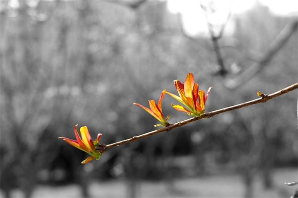 葡萄酒基本知识主要包括哪些内容,葡萄酒知识适合什么样的人学习？