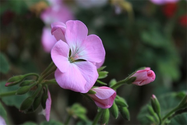 1989年十二月初八什么？