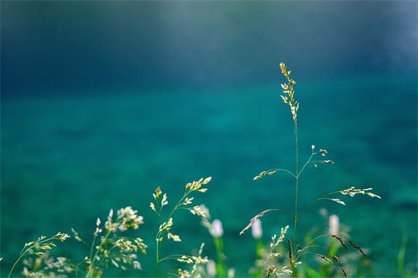 杨姓男宝宝好听动人的名字