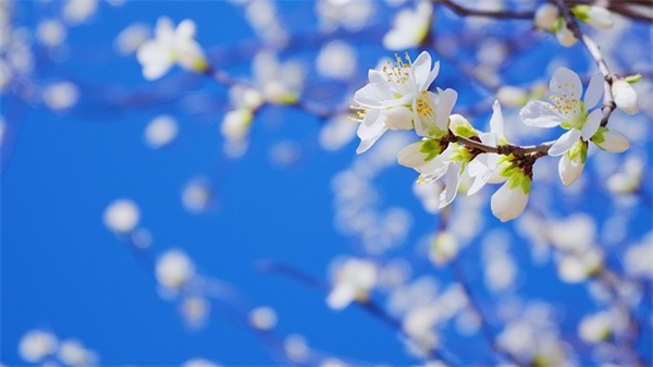 孙姓带荣字男孩名字精选