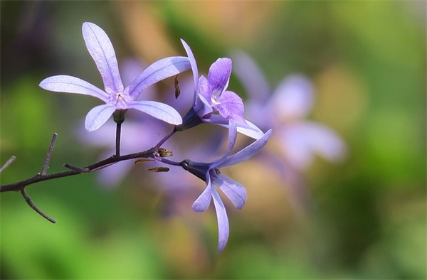 姓苗有涵养的男宝宝名字