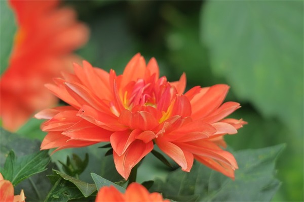 端午节特色祝福短信81句