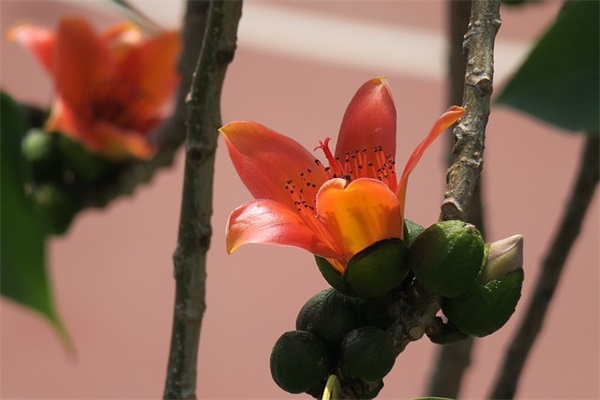 端午节祝福情人短信81句