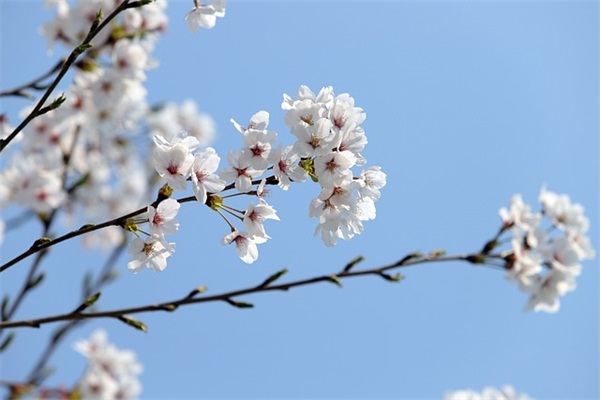 送客户生日祝福短信83句