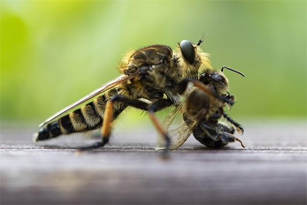 给情人的生日祝福短信83句