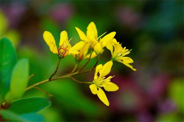 五一节日客户祝福短信82句